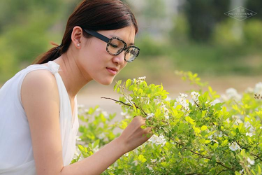 免费国产一区二区三区内容分类